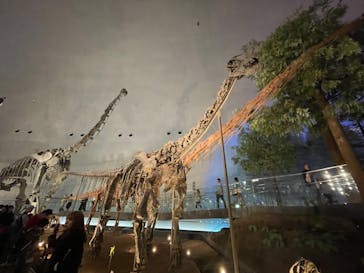 福井県立恐竜博物館に投稿された画像（2024/3/29）
