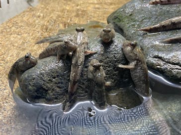 AOAO SAPPOROに投稿された画像（2024/3/29）