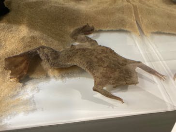 AOAO SAPPOROに投稿された画像（2024/3/29）