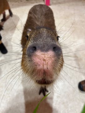 アニタッチアクアシティお台場に投稿された画像（2024/3/29）