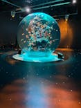 AQUARIUM × ART　atoaに投稿された画像（2024/3/29）