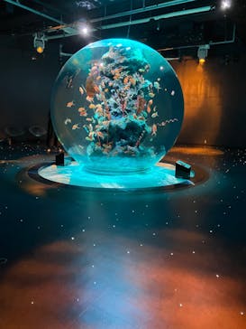 AQUARIUM × ART　atoaに投稿された画像（2024/3/29）