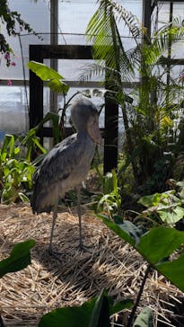 神戸どうぶつ王国に投稿された画像（2024/3/29）