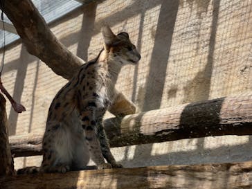 神戸どうぶつ王国に投稿された画像（2024/3/29）