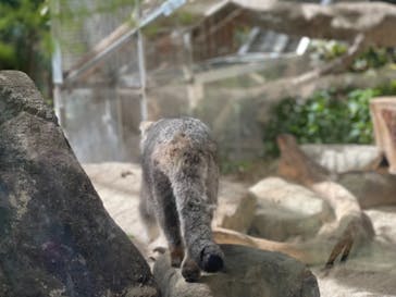 神戸どうぶつ王国に投稿された画像（2024/3/29）