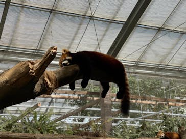 神戸どうぶつ王国に投稿された画像（2024/3/29）