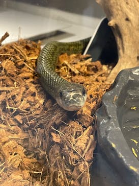 AOAO SAPPOROに投稿された画像（2024/3/29）