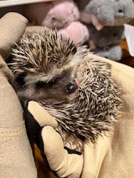 HARRY　原宿駅前店に投稿された画像（2024/3/29）