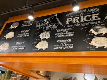 HARRY　原宿駅前店に投稿された画像（2024/3/29）