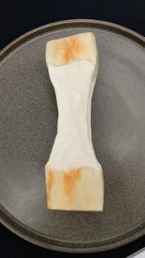 新潟県立自然科学館に投稿された画像（2024/3/29）