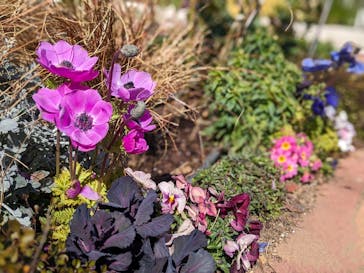 西武園ゆうえんちに投稿された画像（2024/3/29）