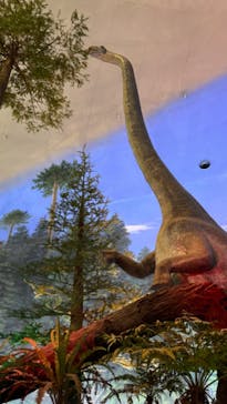 福井県立恐竜博物館に投稿された画像（2024/3/29）