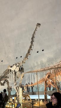福井県立恐竜博物館に投稿された画像（2024/3/29）