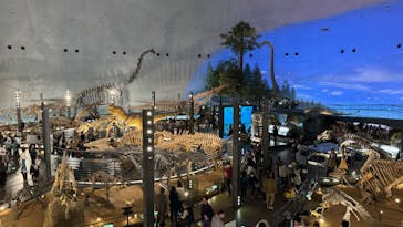福井県立恐竜博物館に投稿された画像（2024/3/29）