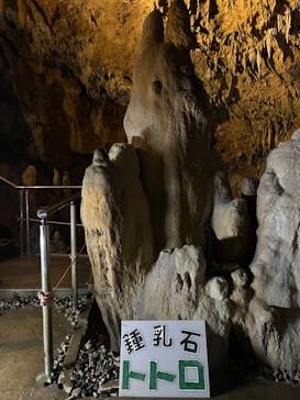 石垣島鍾乳洞に投稿された画像（2024/3/29）