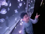 サンシャイン水族館に投稿された画像（2024/3/29）