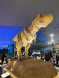 福井県立恐竜博物館に投稿された画像（2024/3/30）