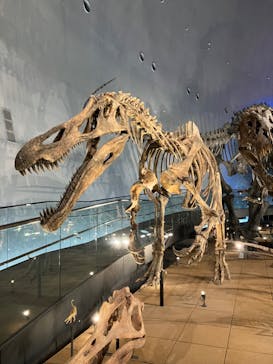 福井県立恐竜博物館に投稿された画像（2024/3/29）