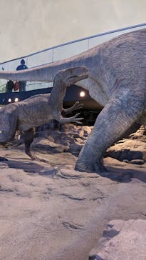 福井県立恐竜博物館に投稿された画像（2024/3/29）