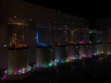 NARA KINGYO MUSEUMに投稿された画像（2024/3/29）