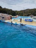 下田海中水族館に投稿された画像（2024/3/30）