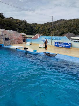 下田海中水族館に投稿された画像（2024/3/29）