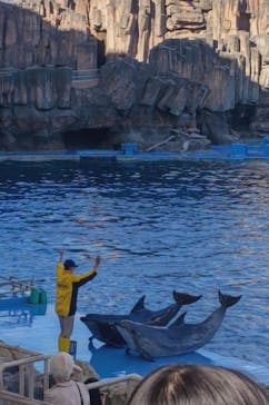 名古屋港水族館に投稿された画像（2024/3/30）