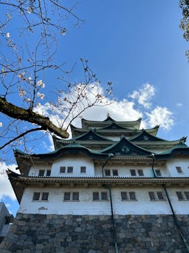 名古屋城に投稿された画像（2024/3/30）