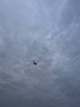 石垣島 ADVENTURE PiPi（イシガキジマアドベンチャーピピ）に投稿された画像（2024/3/30）