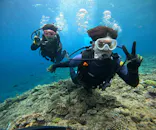 武藤潜水に投稿された画像（2024/3/30）