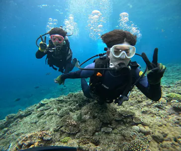 武藤潜水に投稿された画像（2024/3/30）