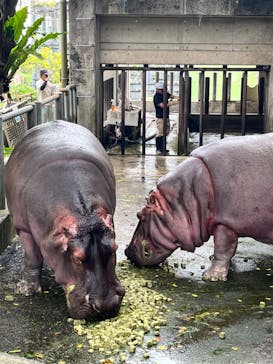 沖縄こどもの国に投稿された画像（2024/3/30）