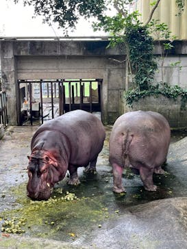 沖縄こどもの国に投稿された画像（2024/3/30）