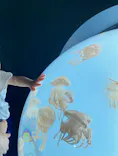 サンシャイン水族館に投稿された画像（2024/3/30）