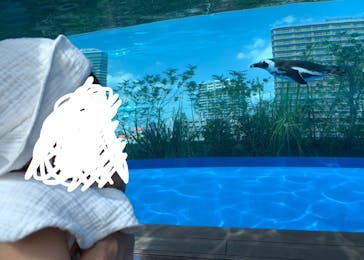 サンシャイン水族館に投稿された画像（2024/3/30）