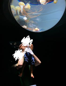 サンシャイン水族館に投稿された画像（2024/3/30）