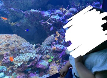 サンシャイン水族館に投稿された画像（2024/3/30）