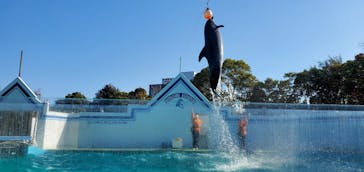 しながわ水族館に投稿された画像（2024/3/30）