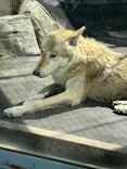天王寺動物園に投稿された画像（2024/3/30）