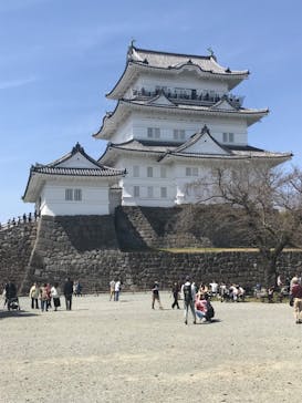 小田原城に投稿された画像（2024/3/30）