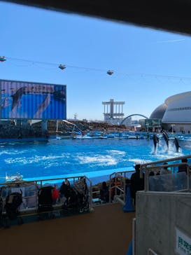 名古屋港水族館に投稿された画像（2024/3/30）