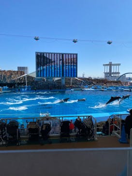 名古屋港水族館に投稿された画像（2024/3/30）
