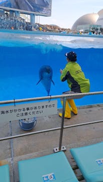 名古屋港水族館に投稿された画像（2024/3/30）