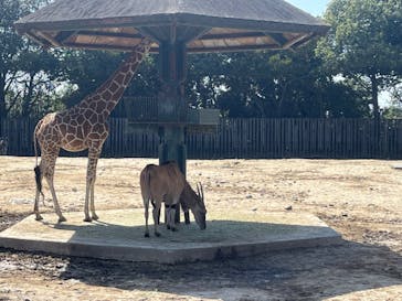 東武動物公園に投稿された画像（2024/3/30）