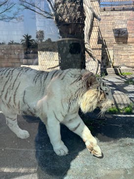 東武動物公園に投稿された画像（2024/3/30）