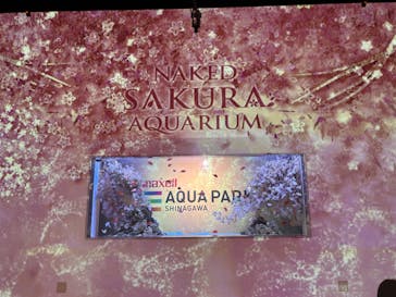 マクセル アクアパーク品川に投稿された画像（2024/3/30）