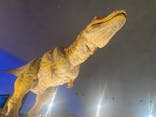 福井県立恐竜博物館に投稿された画像（2024/3/30）