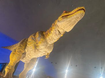 福井県立恐竜博物館に投稿された画像（2024/3/30）
