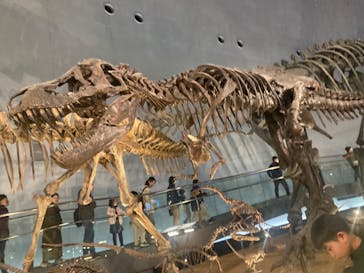 福井県立恐竜博物館に投稿された画像（2024/3/30）