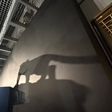 特別展「大哺乳類展３－わけてつなげて大行進」に投稿された画像（2024/3/30）